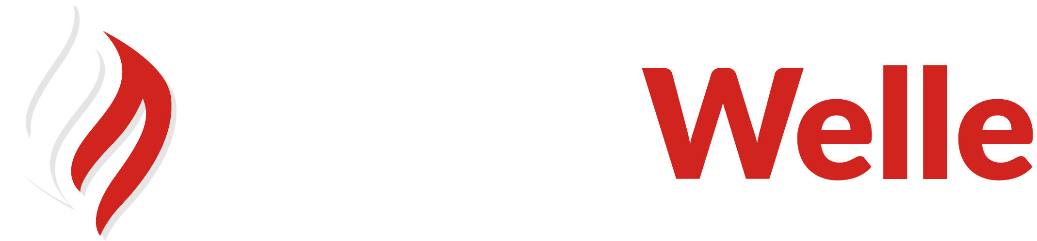 Fokus Welle